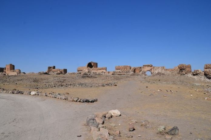 image-.jpg
