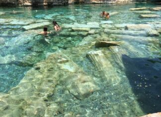 Fatih Döneminde Osmanlı Sarayı ve İtalyan Sanatçıların Etkisi