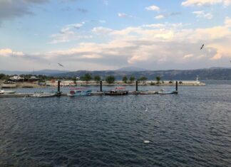 Sermed Muhtar Alus’tan Askerî Müze Rehberi