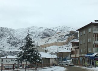 Festival Halk Pazarı’nın Konumu ve Yapısı